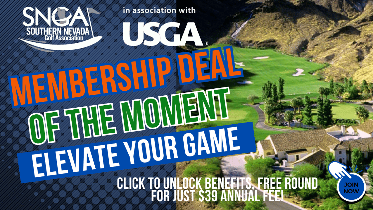 member deal q3